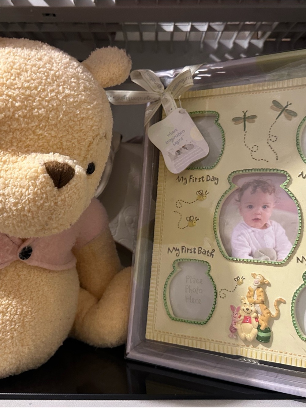 Plush Teddy Bear with Baby Photo Frame - Cream & Pink